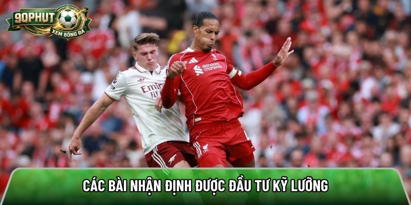 Các bài nhận định được đầu tư kỹ lưỡng